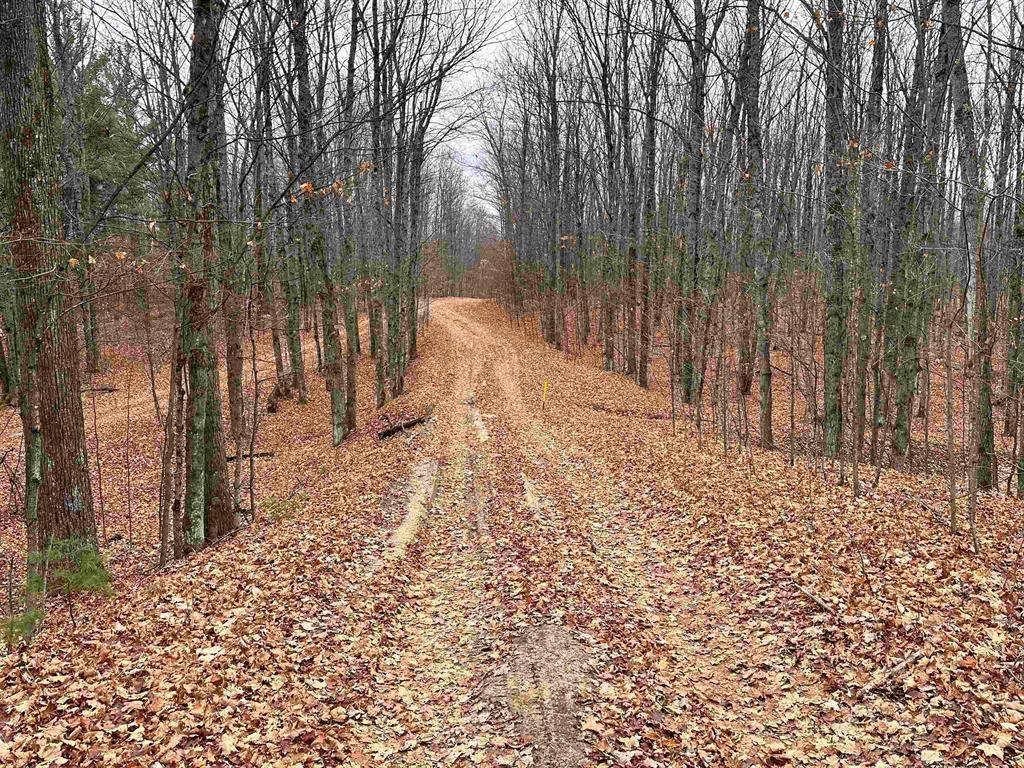 Rapid River Twp, MI 49676,000 Woodline Road