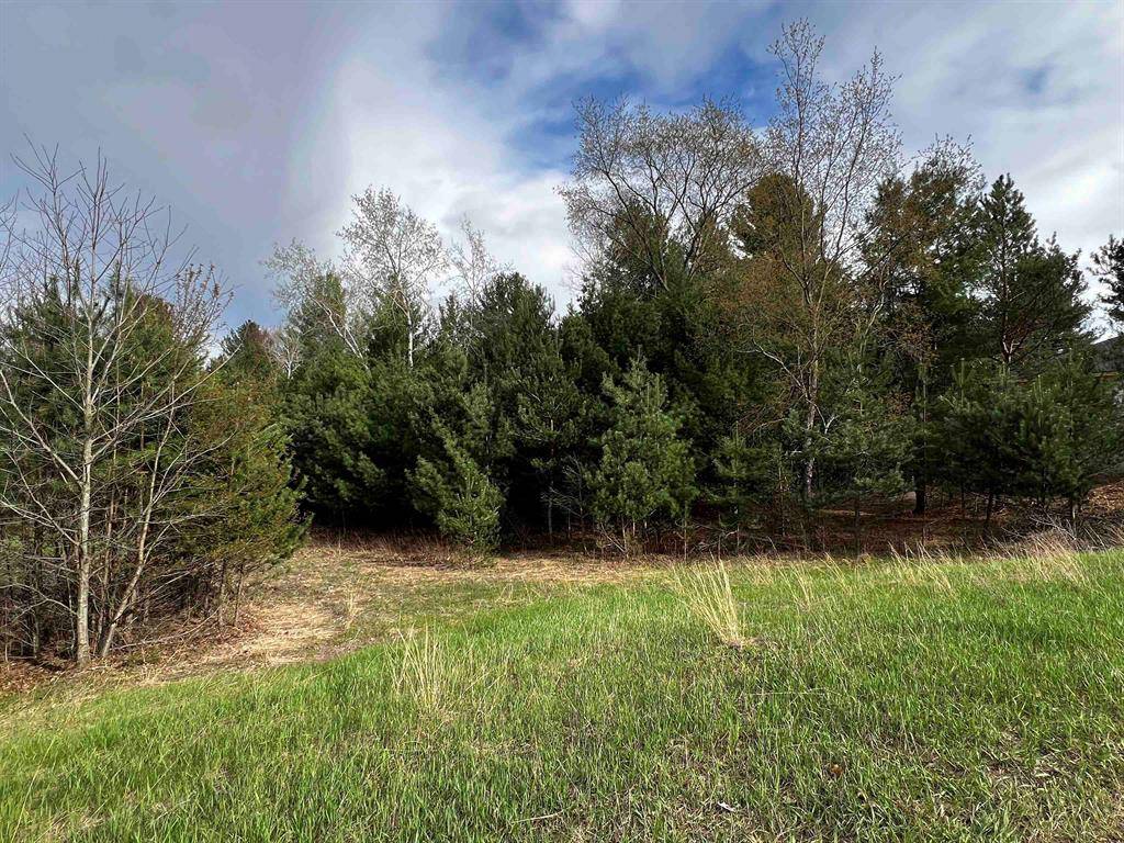 White Water Twp, MI 49690,Lot 19 Cushman Court Lot #19 Lot: 19