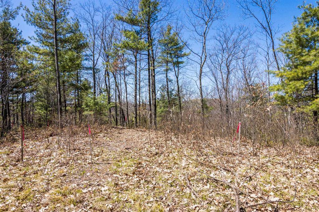 Peninsula Twp, MI 49686,Lot 8 Ishpeming Trail
