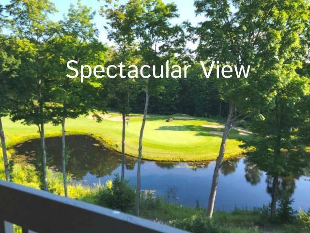 Kearney Twp, MI 49615,2400 Troon South 4226