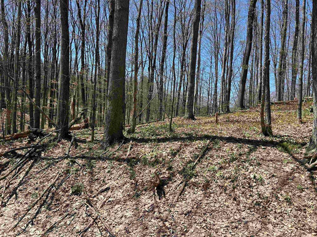 Custer Twp, MI 49615,Lot 38 Courchevel Lane
