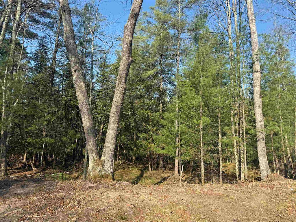 Sauble Twp, MI 49644,4573 N Able Street
