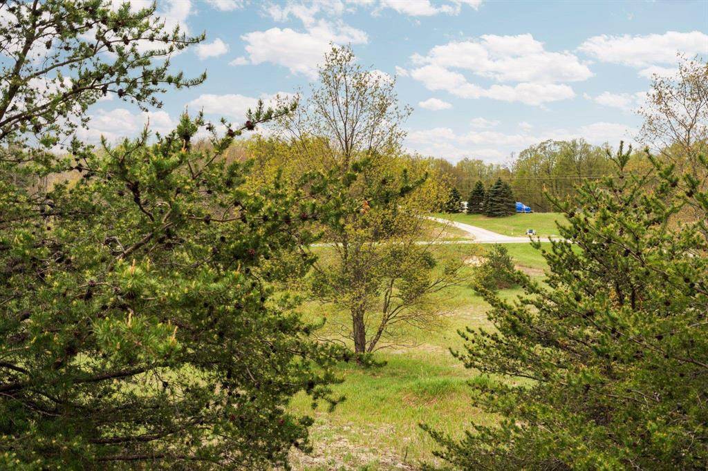 Grant Twp, MI 49683,00 W County Line Road