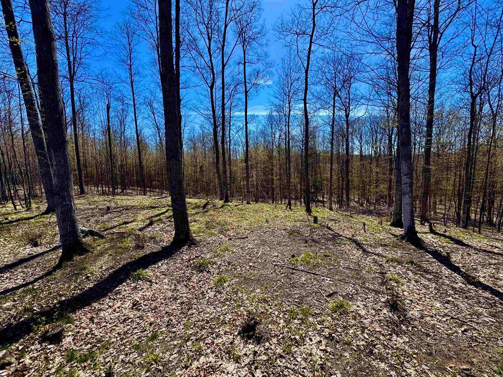 Suttons Bay Twp, MI 49682,1913 & 1919 N Blue Water Court