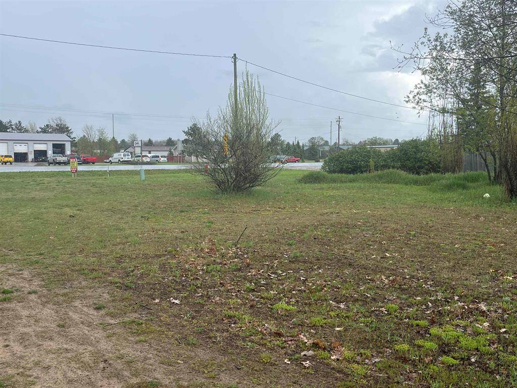 Blair Twp, MI 49685,2860 S M-37