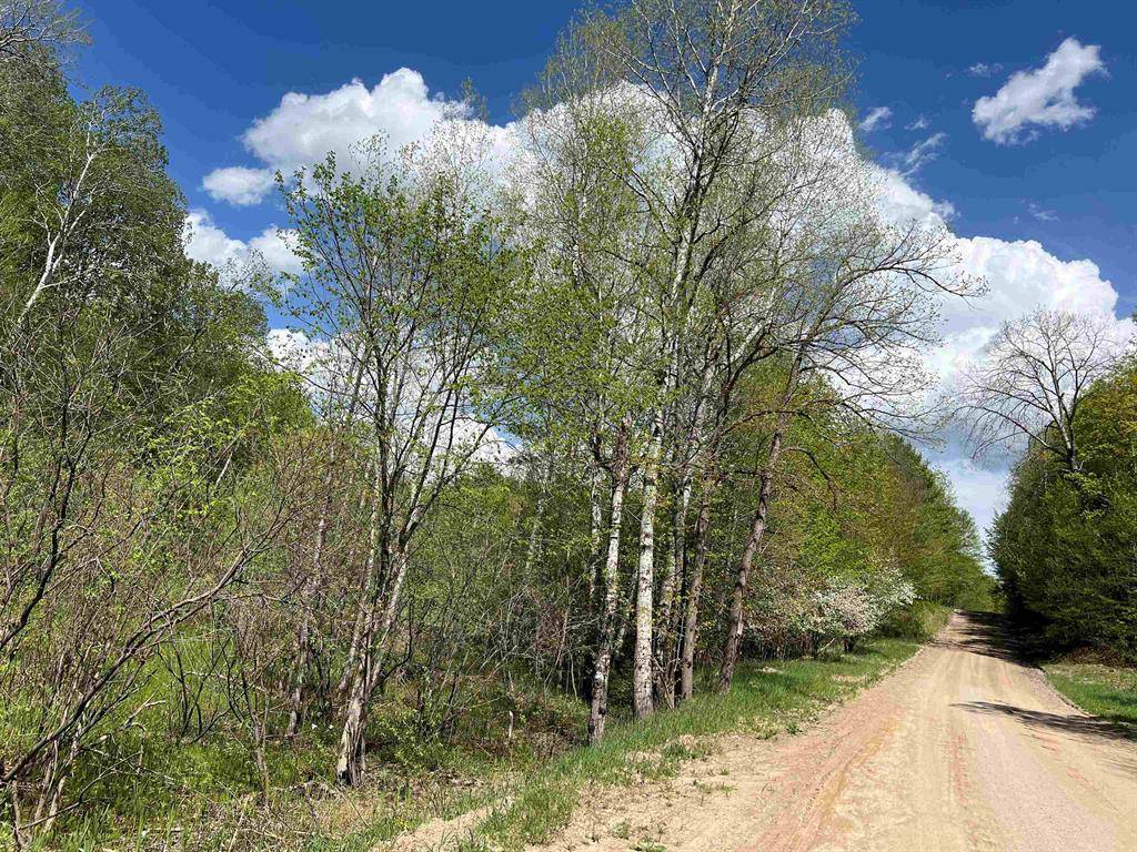 South Arm Twp, MI 49727,TBD Pesek Road