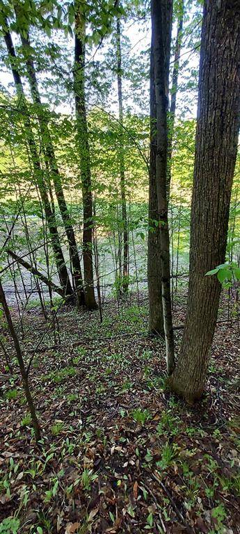 Kearney Twp, MI 49615,271 and 272 Robinson Ridge