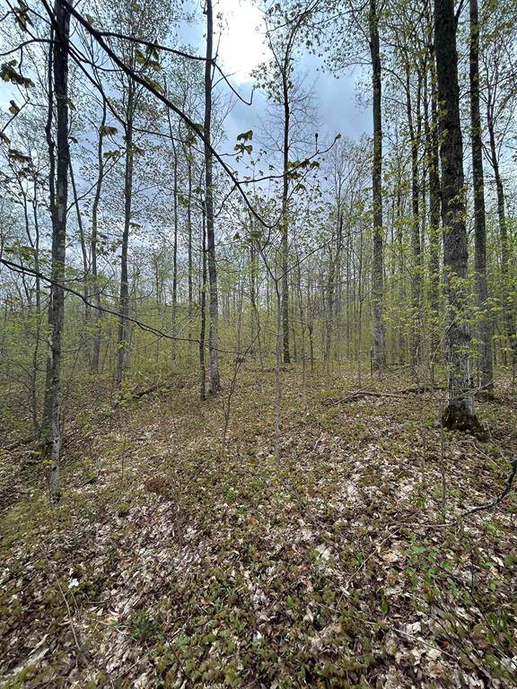 Chestonia Twp, MI 49611,V/L Hardwood Drive