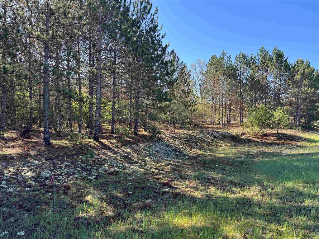 Grant Twp, MI 49643,11882 Country Acres Drive