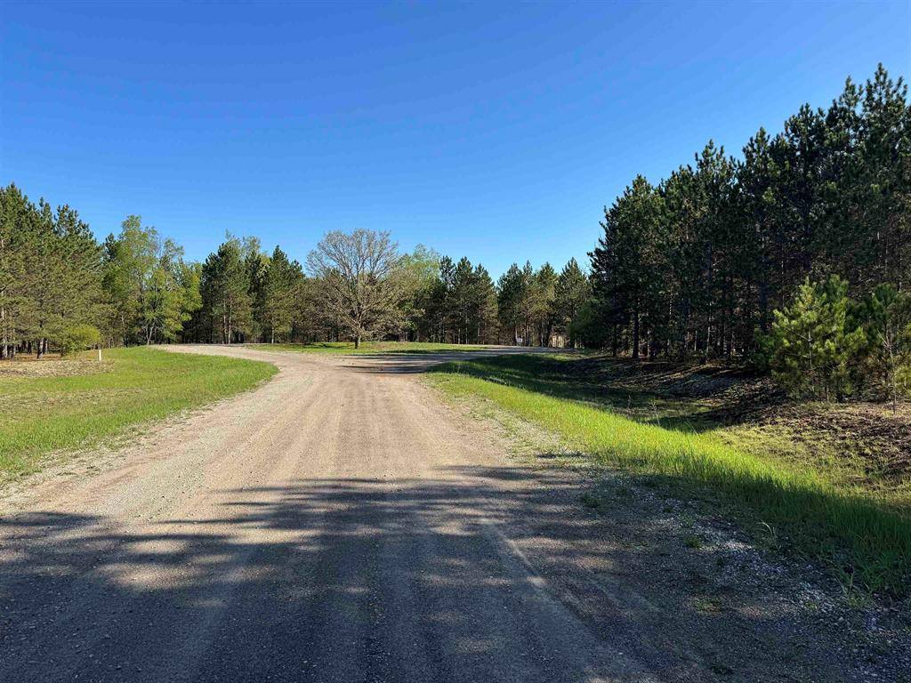 Grant Twp, MI 49643,11882 Country Acres Drive