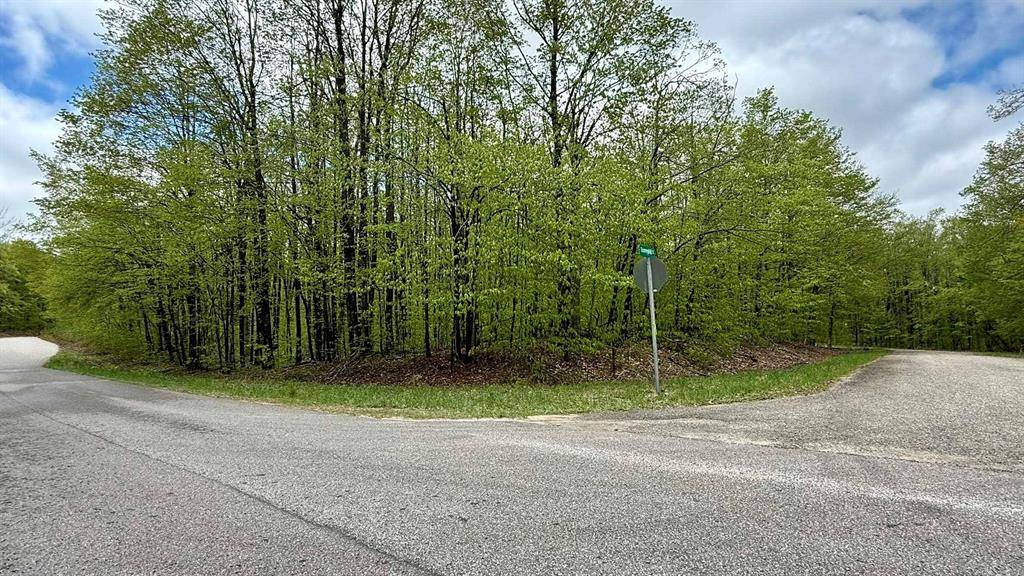 Star Twp, MI 49730,Lot 465 Dellwood Drive Lot: 465