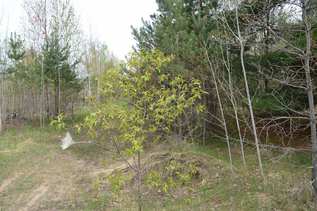 Orange Twp, MI 49646,Spencer Road Lot: 18&19