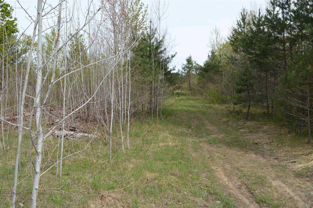 Orange Twp, MI 49646,Spencer Road Lot: 18&19