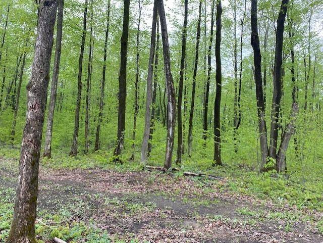 Cold Springs Twp, MI 49659,7742 Starvation Lake Lot: 37