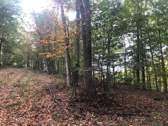 Leelanau Twp, MI 49670,Parcel B Mariah Lane