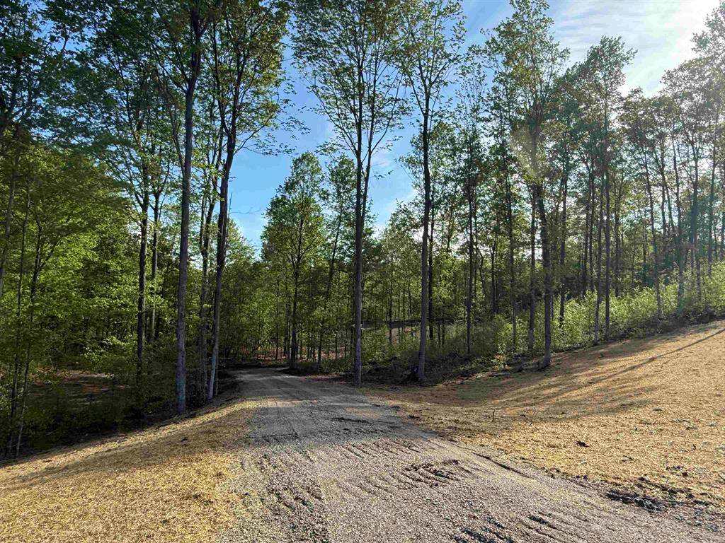 Kasson Twp, MI 49664,B6 E Solaris Way Lot: B6
