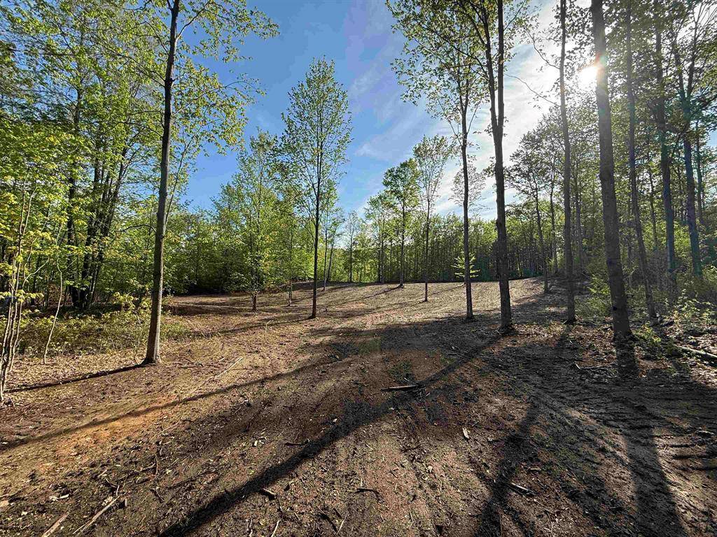 Kasson Twp, MI 49664,B6 E Solaris Way Lot: B6