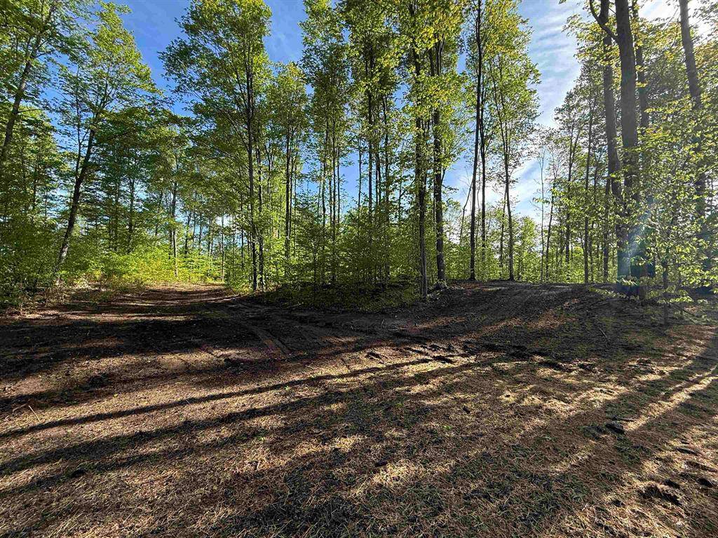 Kasson Twp, MI 49664,B5 E Solaris Way Lot: B5