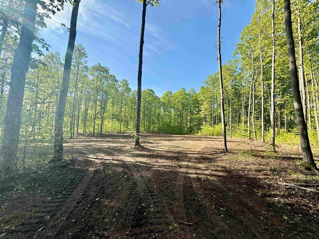 Kasson Twp, MI 49664,B9 E Solaris Way Lot: B9