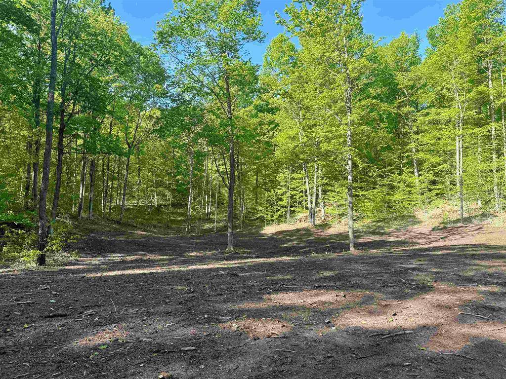 Kasson Twp, MI 49664,B11 E Solaris Way Lot: B11