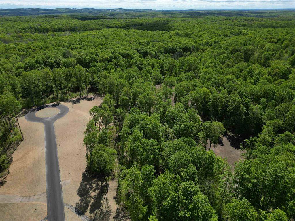 Kasson Twp, MI 49664,B11 E Solaris Way Lot: B11