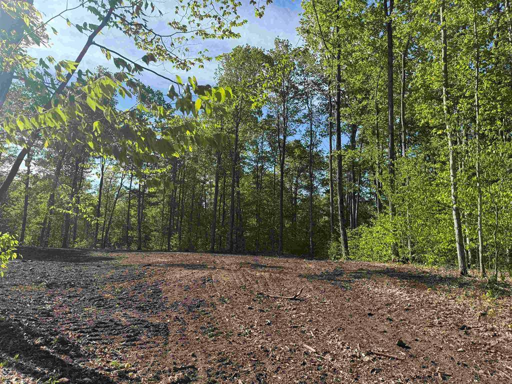 Kasson Twp, MI 49664,B12 E Solaris Way Lot: B12