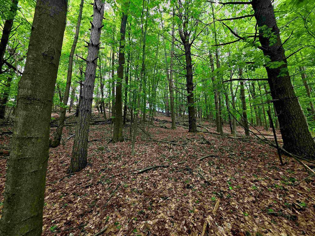 Torch Lake Twp, MI 49648,00 Sugar Bush Road