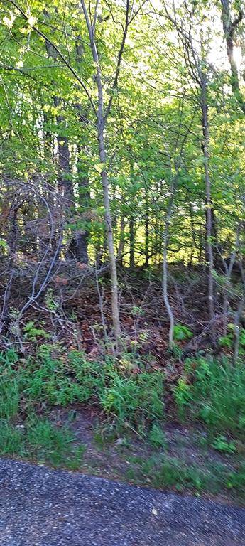 Kearney Twp, MI 49615,127 Founders Ridge