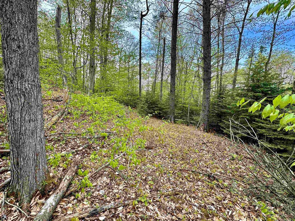 Peaine Twp, MI 49782,TBD Allens Lakeview Lots 867 & 868