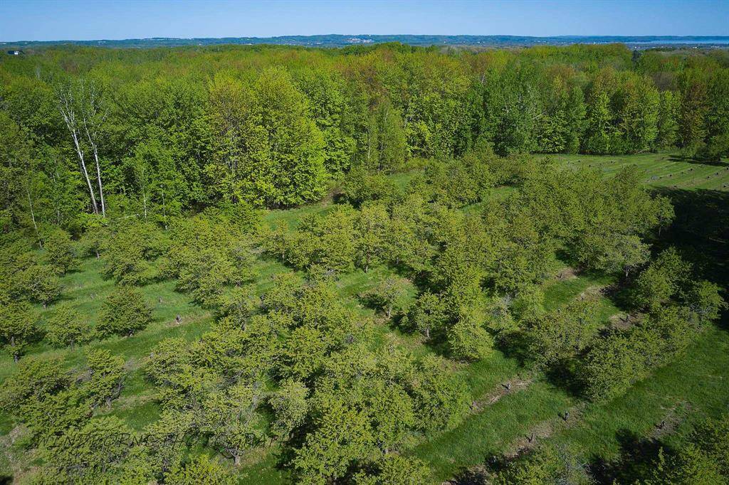 East Bay Twp, MI 49696,Parcel G Three Mile Road Lot: G