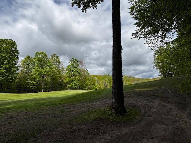 Custer Twp, MI 49615,Unit 24 Forest Trail