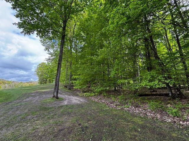 Custer Twp, MI 49615,Unit 24 Forest Trail
