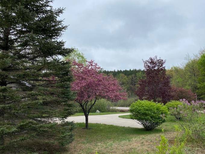 Green Lake Twp, MI 49643,10200 Riley Road