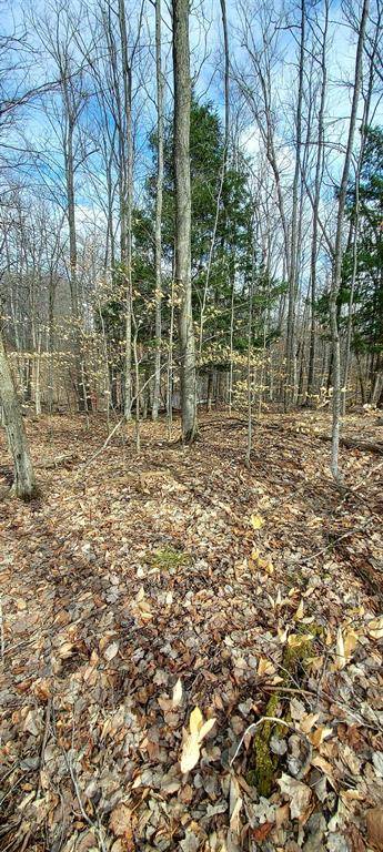 Custer Twp, MI 49615,84 Legend Trail