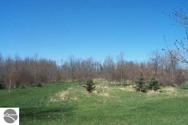 Milton Twp, MI 49676,Lot 8 Torch Hills Lane
