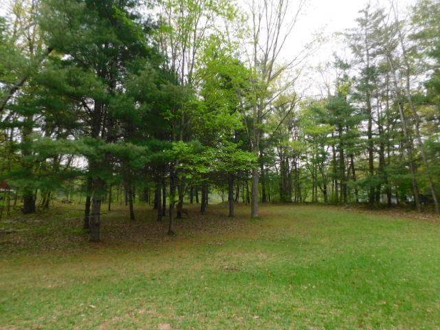 Bear Lake Twp, MI 49646,11720 Loch Alpine Lot: 54,55