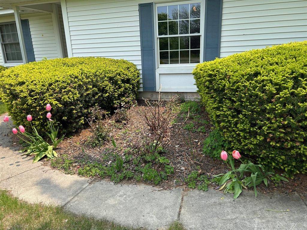 Suttons Bay Twp, MI 49682,1551 S Donnybrook Road Lot: 3