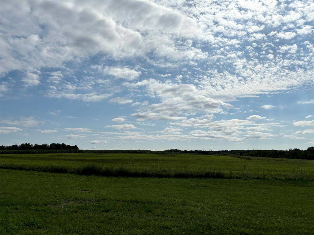 Fife Lake Twp, MI 49649,8809 Townline Road