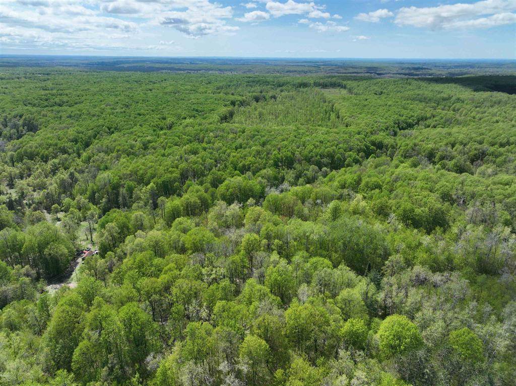 Mancelona Twp, MI 49659,000 N Partridge Lane