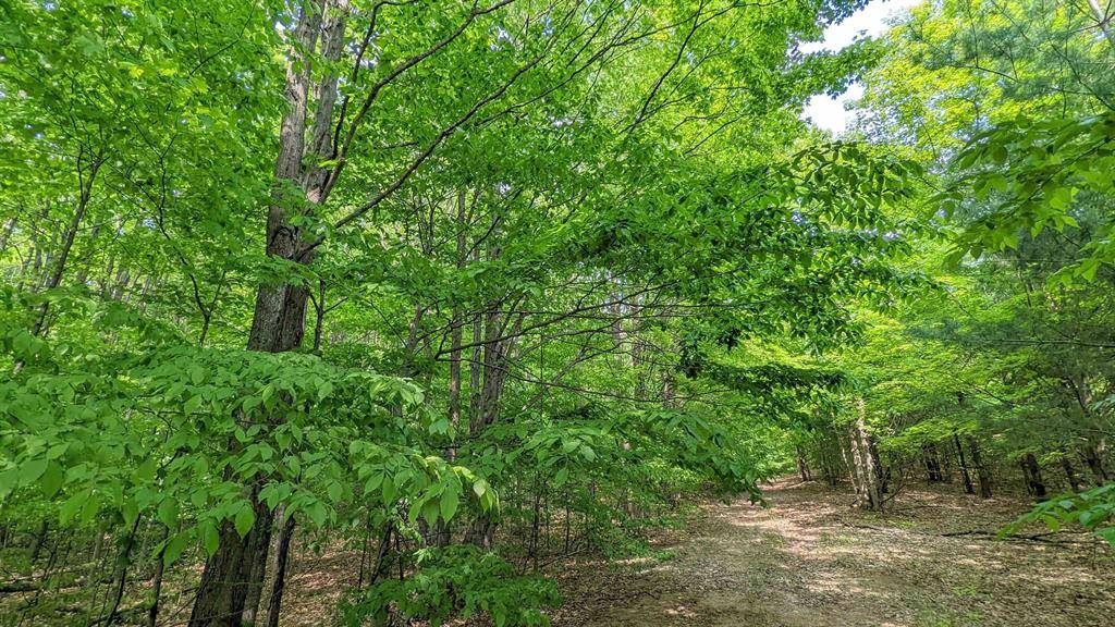 Chestonia Twp, MI 49659,00 Stark Road