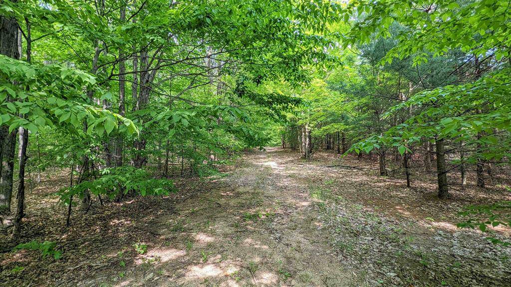 Chestonia Twp, MI 49659,00 Stark Road