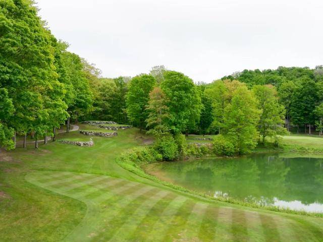 Custer Twp, MI 49615,4492 Forest Trail