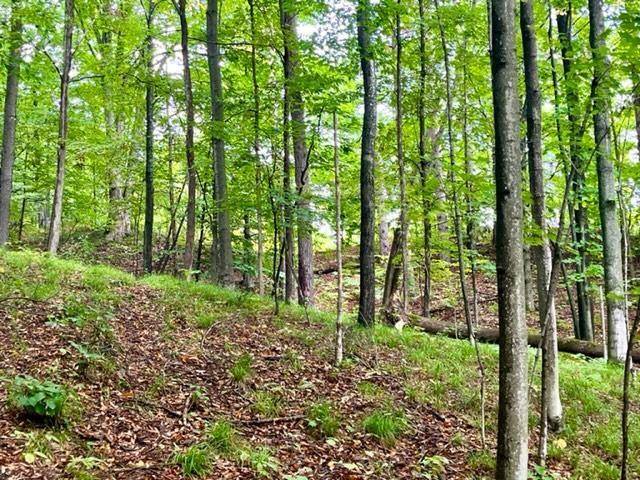 Benzonia Twp, MI 49616,Traverse Avenue
