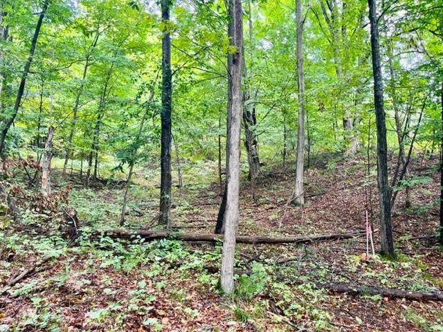 Benzonia Twp, MI 49616,Traverse Avenue