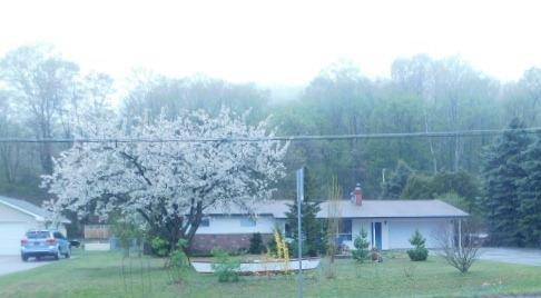 Bingham Twp, MI 49684,7222 S West Bay Shore Drive