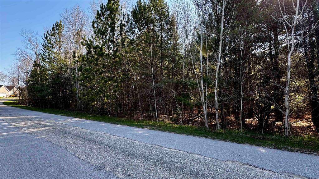 Cherry Grove Twp, MI 49601,Lot 25 Whitetail Drive