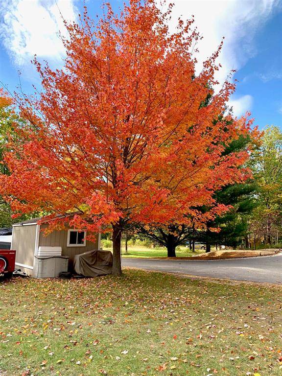 Glen Arbor Twp, MI 49630,6876 W Day Forest Road