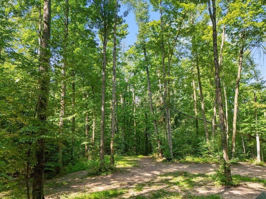 Custer Twp, MI 49659,V/L W Elder Road
