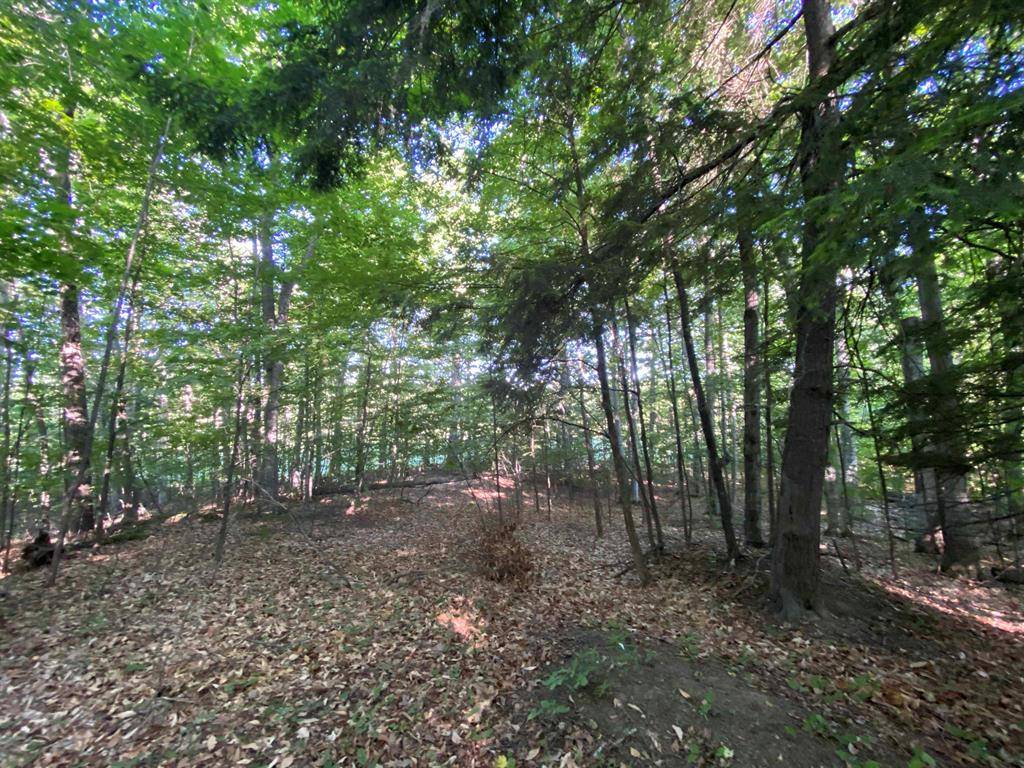 Cleveland Twp, MI 49621,Lot 10 S Club Drive Lot: 10