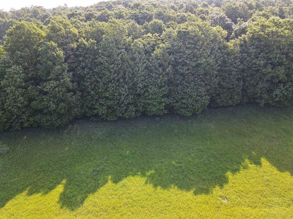 Paradise Twp, MI 49649,10 acres Kingsley Road